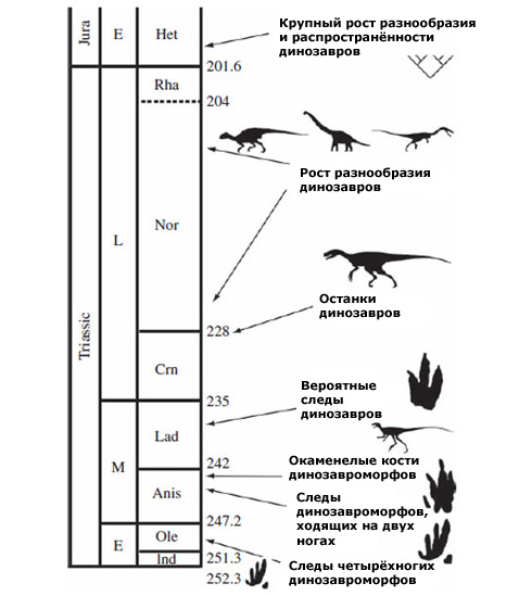Брюсетт и его коллеги в своей работе также описали обнаруженные в Польше чуть более молодые (246 млн лет) 15-сантиметровые следы – старейший пример двуногого и умеренно крупного ужасного ящера, называемого <I>Sphingopus</I>.<br></br>На рисунке показана хронологическая шкала возникновения и эволюции динозавров, первые следы и окаменелости, миллионы лет (иллюстрация с сайта discovermagazine.com).